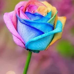 Meet your Posher, Indra